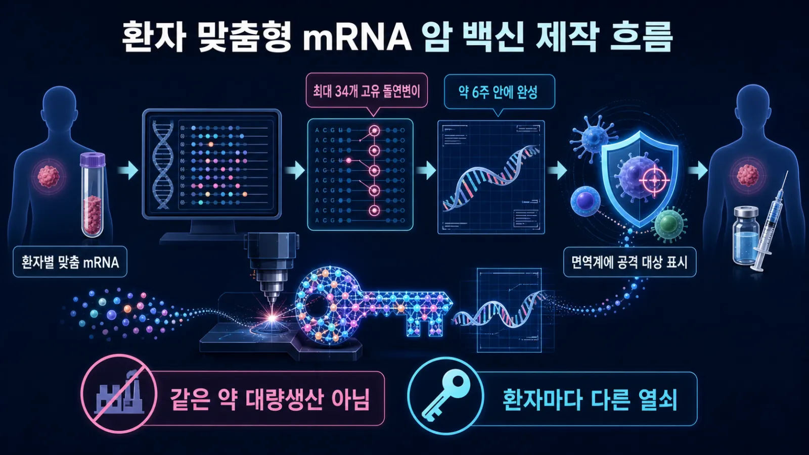 맞춤형 암 백신 제작 흐름